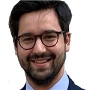 Profesor de Educación Primaria apto para todas las asignaturas y niveles